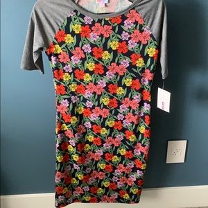 Small LulaRoe Julia dress